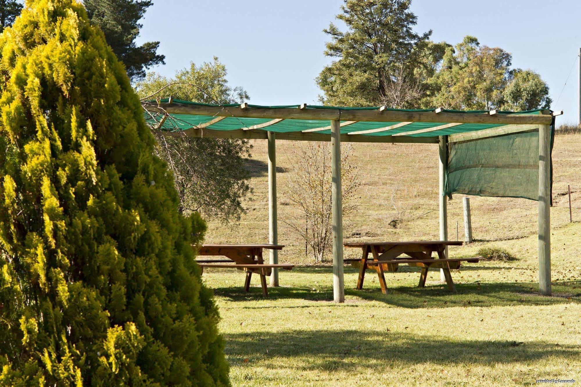 Hilltops Retreat Motor Inn Young Ristorante foto